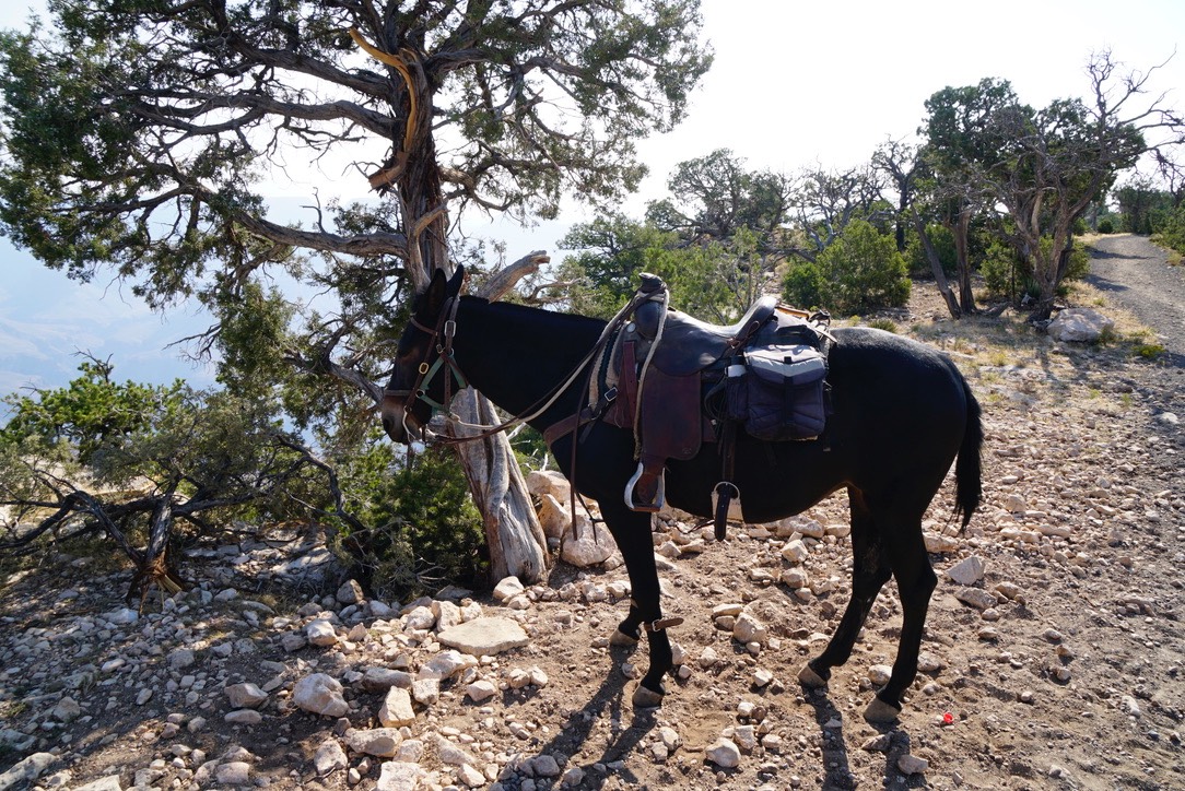Rest Stop