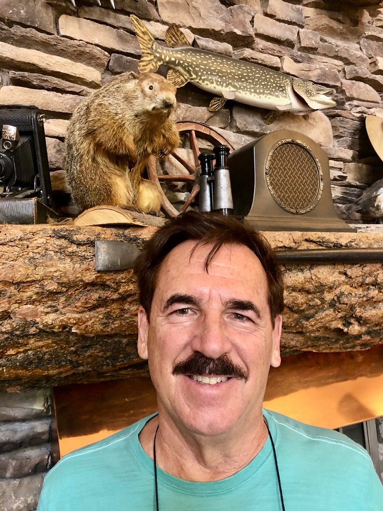 Grand Hotel Taxidermy Badger